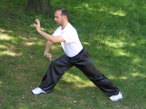 Hung Gar boxe Shaolin du sud