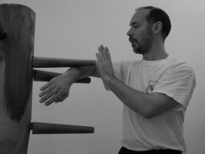 wing chun chi sao