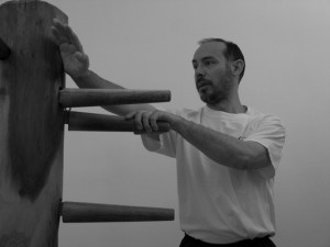 wing chun chi sao