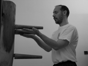 wing chun chi sao