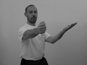 wing chun chi sao