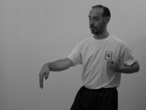 wing chun chi sao